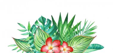 Suluboya tropikal bitki