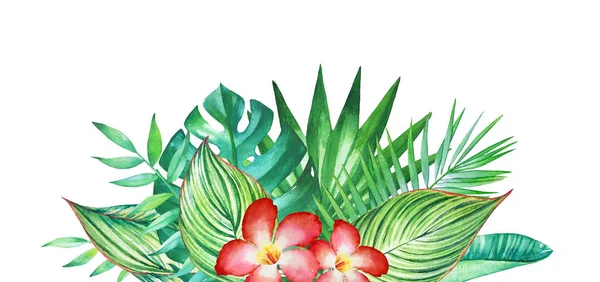 Aquarelle Plantes tropicales — Photo