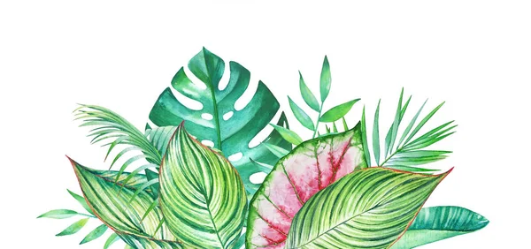 Aquarelle Plantes tropicales — Photo