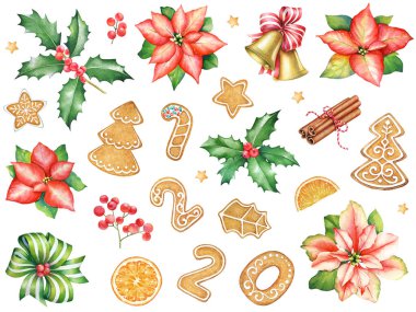 Suluboya kırmızı noktalı çiçekler, zencefilli kurabiyeler, tatlılar ve kutsal dallar ve baharatlar. Yeni yıl ve Noel tasarımı için elementlerin toplanması.