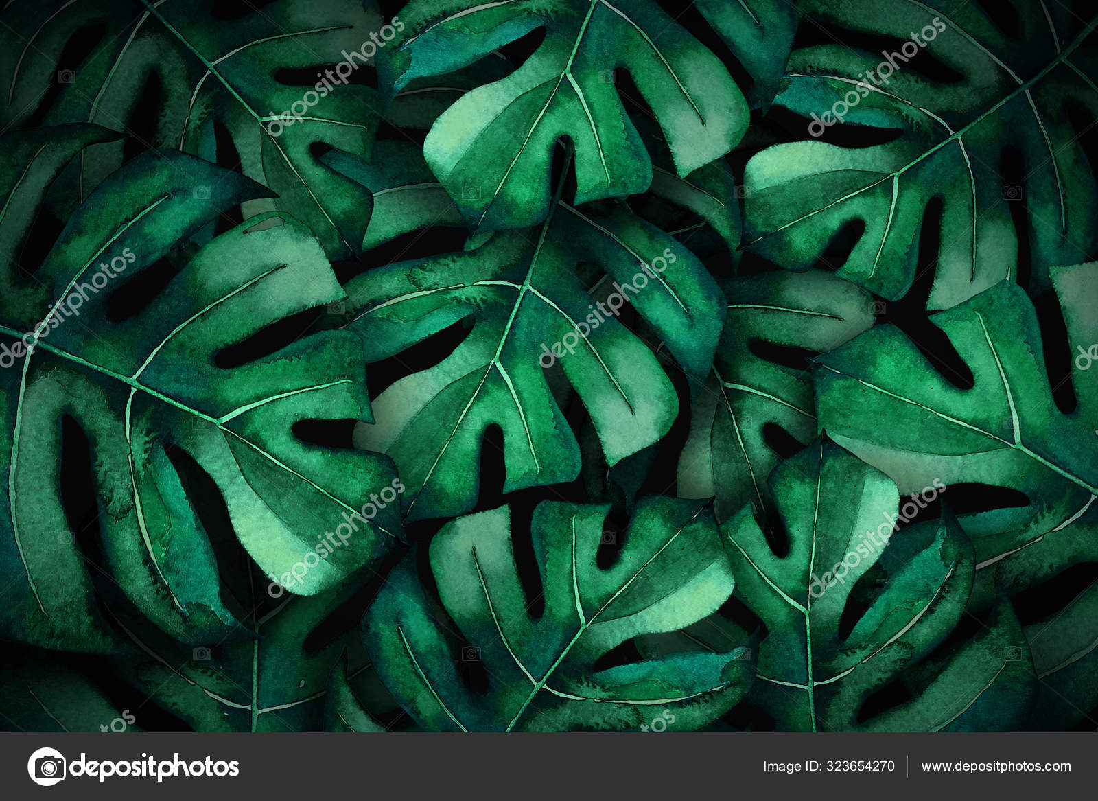 Watercolor tropical background with monstera leaves on a black background. For design of wedding invitations, greeting cards and banners.