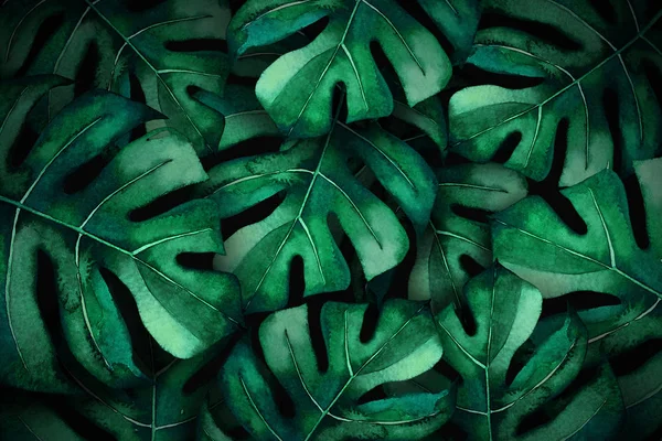 Акварель Тропического Фона Листьями Монстров Черном Фоне Оформления Свадебных Приглашений — стоковое фото