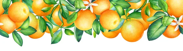오렌지색 수채화 가지가 — 스톡 사진
