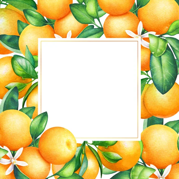 Рамка Акварельними Гілками Апельсинового Дерева Фруктами Листям Квітами — стокове фото