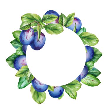 Çerçevesi suluboya erik ağacı dalları ile yeşil yapraklar ve meyvelerle.