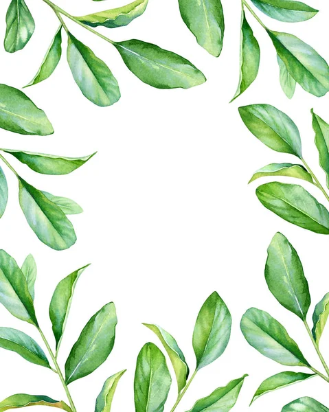 Квіткова Рамка Акварельними Зеленими Гілками — стокове фото