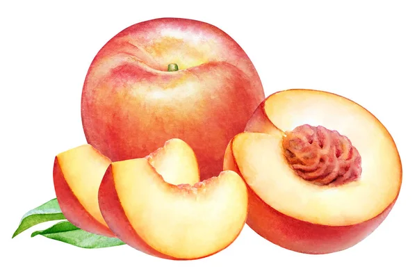 Akvarel Ilustrace Broskvného Ovoce Plátky Zelené Listy Izolované Bílém Pozadí — Stock fotografie