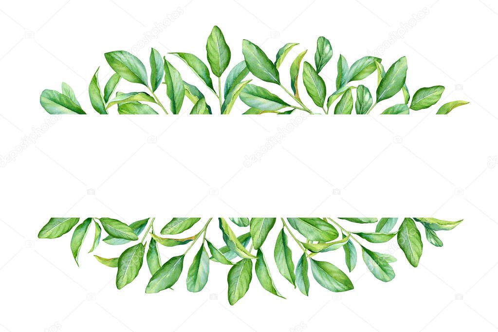 Watercolor frame with green leaves isolated on white background.
