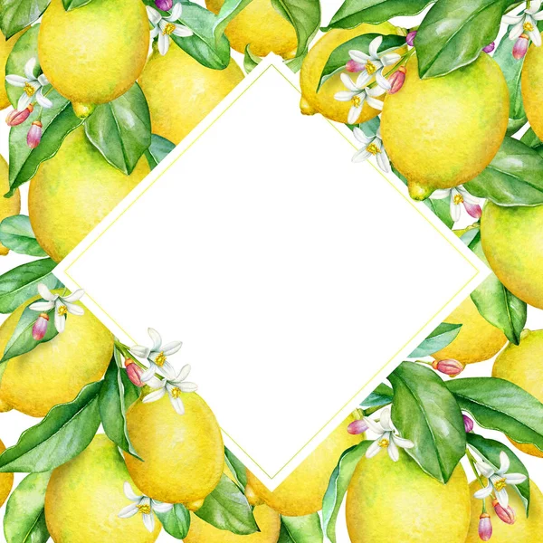 Rahmen Mit Aquarell Zitronenzweigen Mit Früchten Blättern Und Blüten — Stockfoto