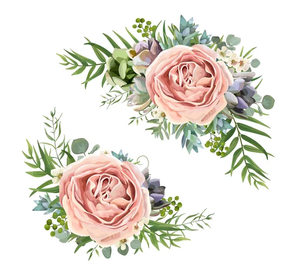 Vector floral bouquet design: garden pink peach lavender Rose wax flower, Eucalyptus branch, green fern palm leaves, succulent berry. Wedding vector invite illustration Watercolor designer element set — Stock Vector