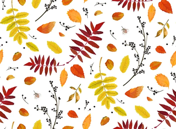 Vector Seamless patten background floral watercolor style Autumn fall season colorful falling orange yellow brown red fall leaves berries forest maple oak tree. Decorative Fabric textile paper texture — Stock Vector
