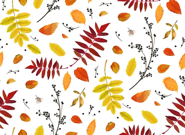 Vecteur Sans couture patten fond floral aquarelle style Automne automne saison coloré chute orange jaune brun rouge automne feuilles baies forêt érable chêne. Texture décorative de papier textile de tissu — Image vectorielle