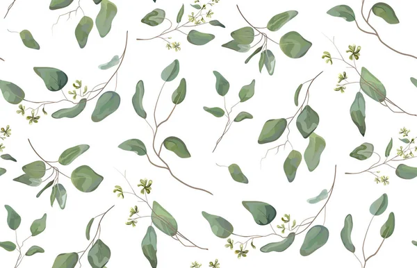 Eucalyptus andere boom, gebladerte natuurlijke takken met groene bladeren zaden tropische naadloze patroon, aquarel stijl. Vector decoratieve mooie schattige elegante illustratie geïsoleerd witte achtergrond — Stockvector