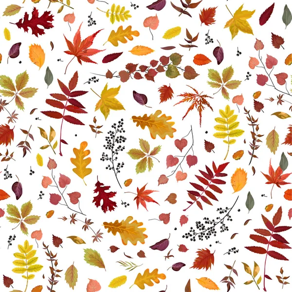 Seamless Autumn pattern Vector floral watercolor style design: orange, yellow, brown red fall forest rowan, birch, oak tree leaves and herbs. Wallpaper, background beautiful, cute, trendy bright print — Stock Vector