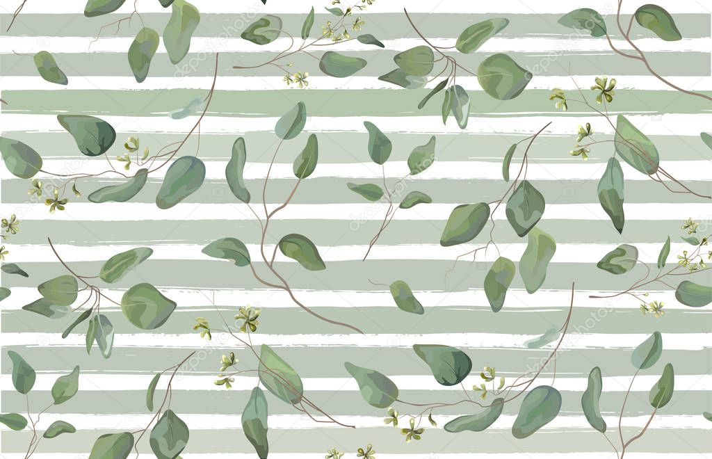 Eucalyptus different tree, foliage natural branches with green leaves seeds tropical seamless pattern watercolor style. Vector decorative beautiful elegant illustration  light blue stripped background