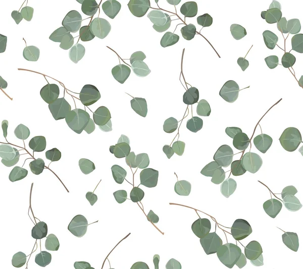 Eucalyptus Schijfzalm gebladerte natuurlijke takken met groene bladeren tropische naadloze patroon, aquarel stijl. Vector decoratieve schattig elegante groen illustratie geïsoleerd witte achtergrond — Stockvector