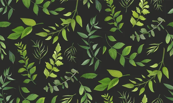 Naadloze patroon van Eucalyptus palmboom fern verschillende gebladerte natuurlijke takken, groene bladeren, kruiden, tropische plant hand getekende aquarel Vector frisse schoonheid rustieke eco vriendelijke achtergrond op grijs — Stockvector