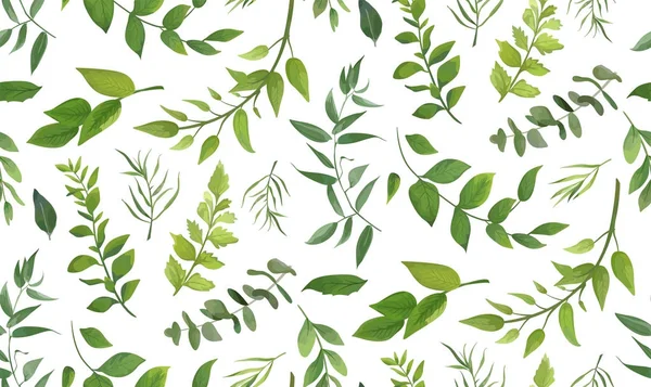 Nahtlose Muster von Eukalyptus-Palmenfarn verschiedenen Baum, Laub natürliche Zweige, grüne Blätter, Kräuter, tropische Pflanze handgezeichnet Aquarell Vector frische Schönheit rustikale umweltfreundliche Hintergrund auf weiß — Stockvektor