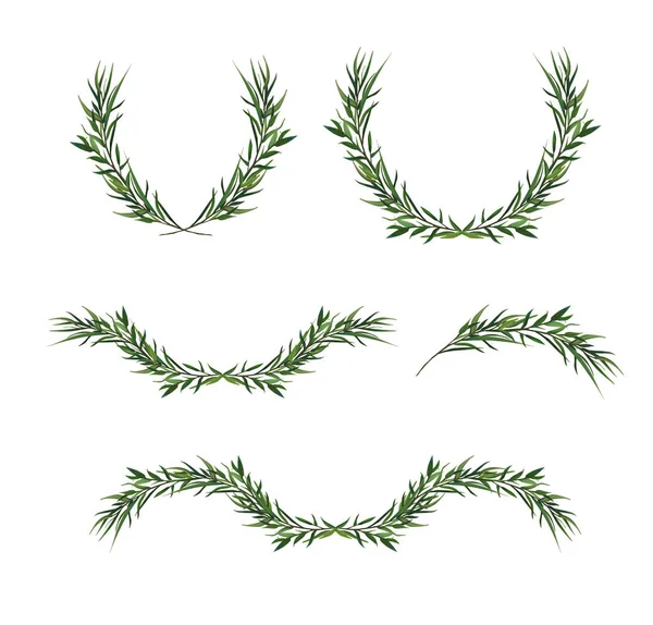 Vector decorative element set. Eucalyptus round Green leaf Wreath, greenery branches, winter garland, border, frame, elegant watercolor isolated, editable illustration. Christmas greeting card objects — Stock Vector