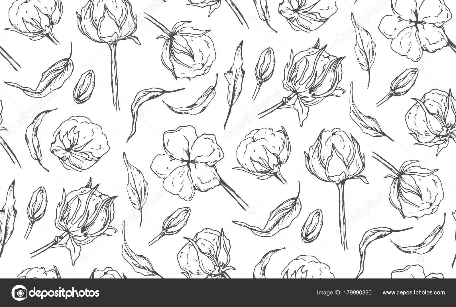 Seamless Pattern With Cotton Ball Flower Leaves Hand Drawn Ink Natural Designer Elements Beautiful Cute Lovely Art Drawing Sketch Wallpaper Textile Fabric Design Gray Ructic Linear Illustration Stock Vector Image By C Alewiena