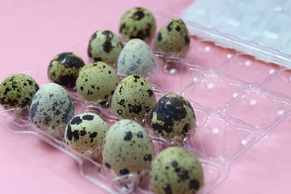 Fresh Quail Eggs Open Packaging — 스톡 사진