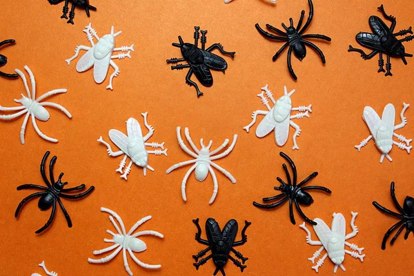 Textura Moscas Plásticas Arañas Para Día San Valentín —  Fotos de Stock