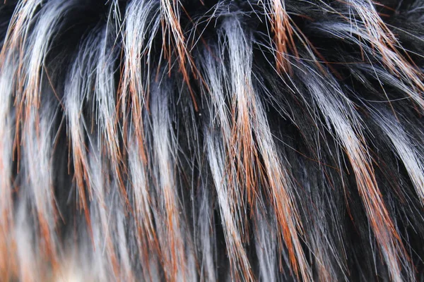 オレンジ色の色合いの長髪のフェイクファー — ストック写真