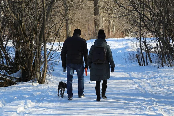 Una Foto Parte Trasera Una Pareja Con Perro Paseando Por — Foto de Stock