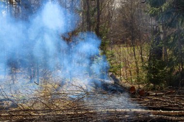 Ormanda ateşten çıkan dumanı tepeden tırnağa görebilirsiniz.
