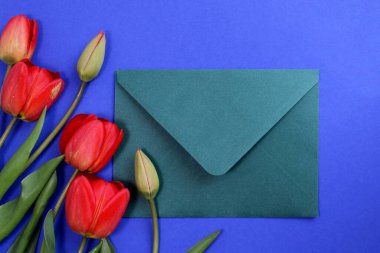 Mavi arka planda zarflı kırmızı laleler