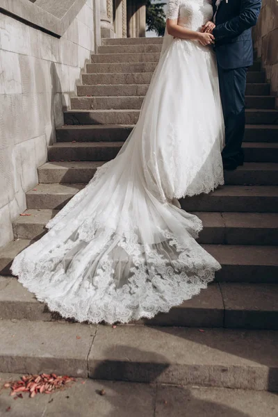 Wedding Couple Standing Steps Long Skirt Bridal Wedding Dress — Stock Photo, Image