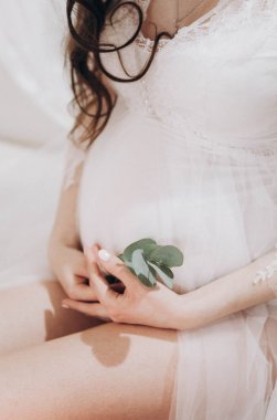 çıplak ayaklı bir boho bir okaliptüs dalı tarzı onun elinde bir sabahlığı içinde hamile kızla