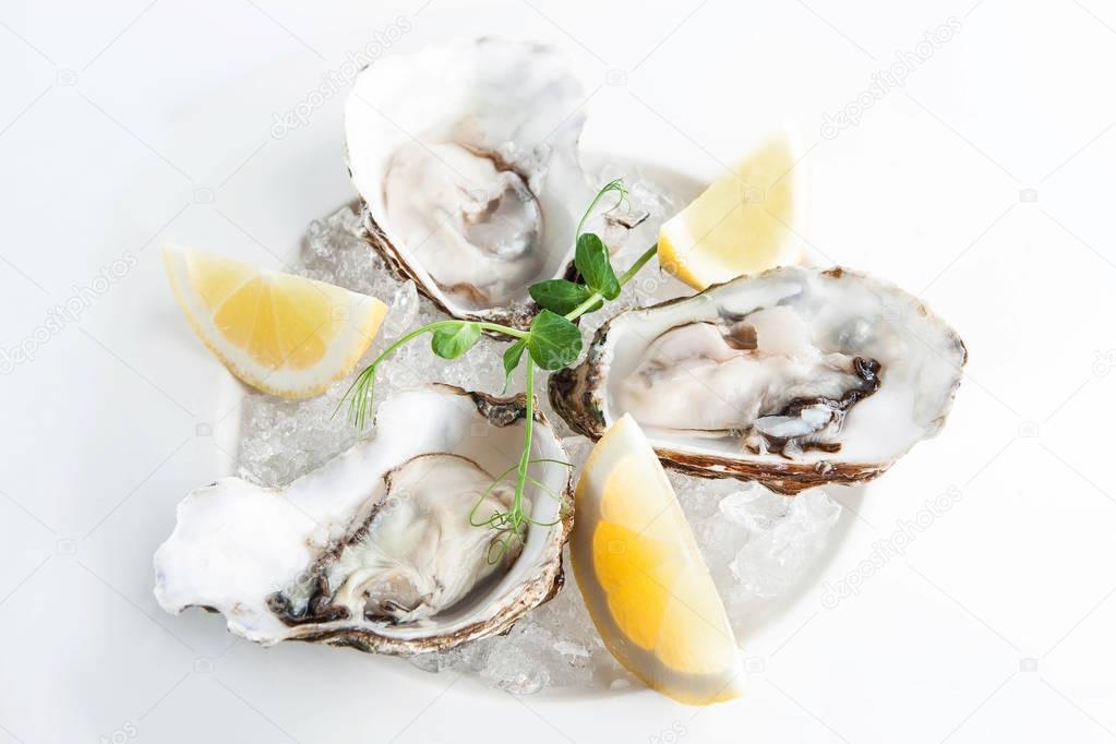 serving oysters on ice with lemon