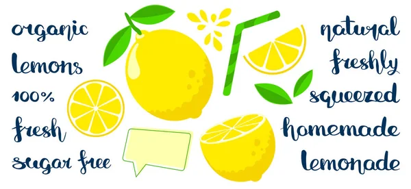 Набор с плоскими лимонами — стоковый вектор
