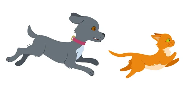 bir kediyi kovalayan köpek