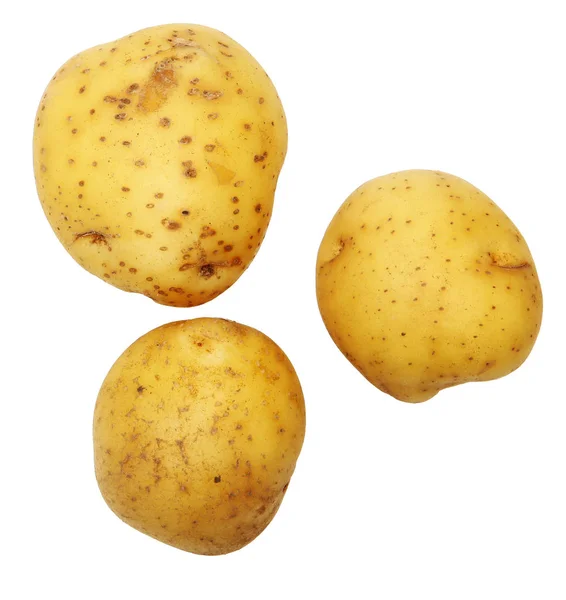 Gouden Yukon aardappelen — Stockfoto