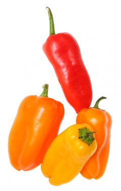 Tatlı biber çeşitli