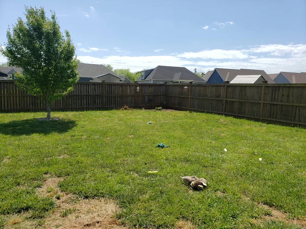 Back Yard Dog Toy Bone Mess Yard — Stock Photo, Image