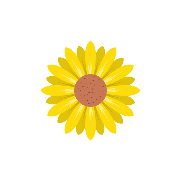 Sonnenblume Blume Symbol Design Vorlage Vektor isoliert — Stockvektor