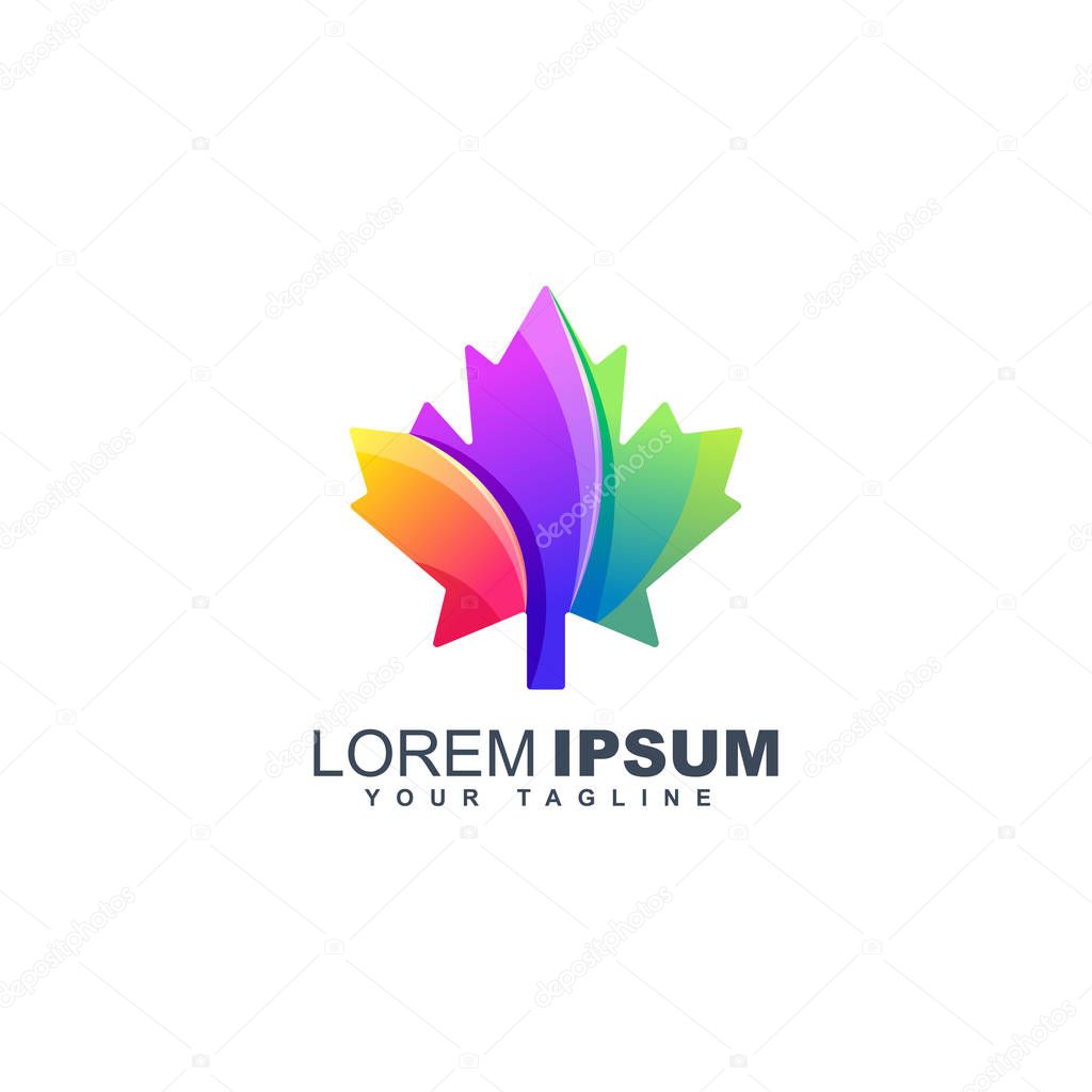 Colorful maple leaf logo design template
