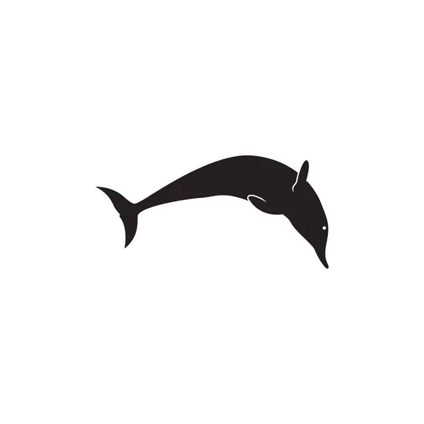 Dolphin Grafisk Design Mall Vektor Isolerad — Stock vektor