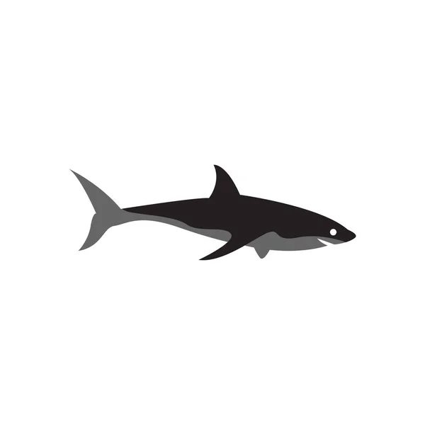 Tubarão Modelo Gráfico Vetor Isolado — Vetor de Stock