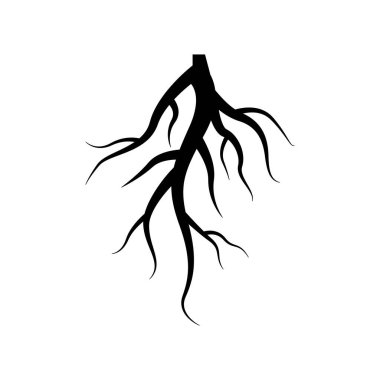 Kök grafik tasarım şablonu vektör izole çizimi