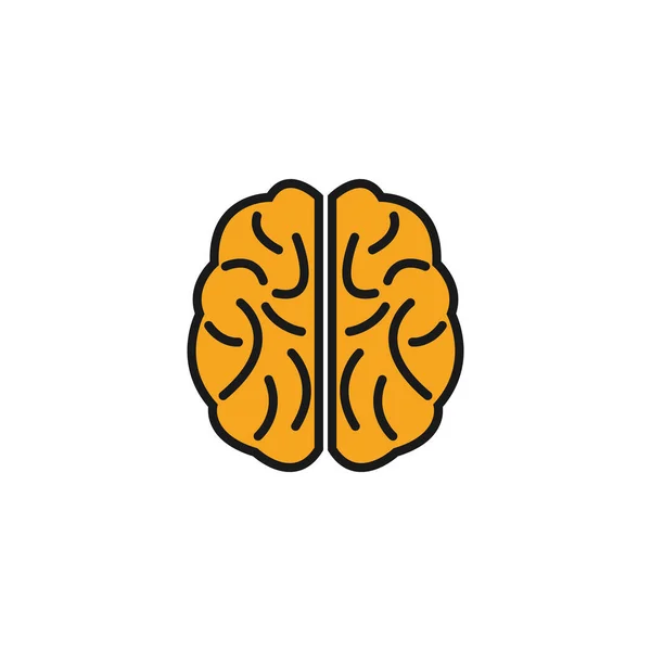 Графический Дизайн Мозга Векторная Иллюстрация — стоковый вектор