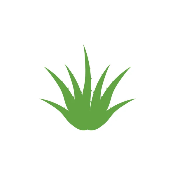 Aloe Vera Icono Diseño Plantilla Vector Aislado Ilustración — Vector de stock