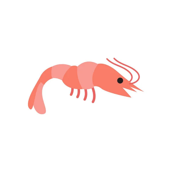 Shrimp Graphic Design Template Vector Isolated Illustration — Stock Vector
