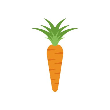 Havuç grafik tasarım şablonu vektör izole çizimi