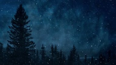 Karanlık Orman ve Kış Arkaplanı