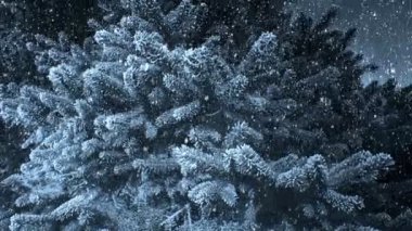 Firavun Ağacı ve Kar Arkaplanı