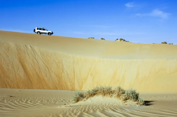 Позашляховик автомобілів поверх піску, дюни в пустелі руб Халі — стокове фото